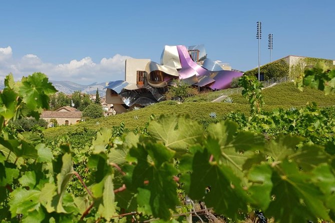 Rioja Wine Tour: 2 Wineries From Pamplona - About Your Stay