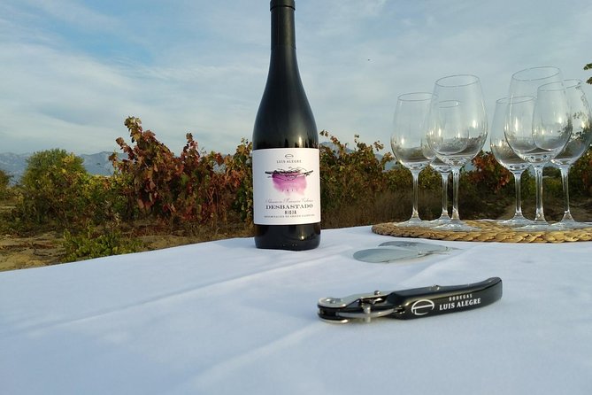 Rioja Wine Tour: 2 Wineries From Pamplona - Customer Reviews