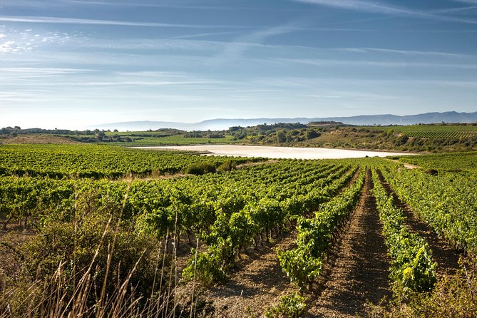Rioja Wine Tour: 2 Wineries From Pamplona - Discovering Picturesque LaGuardia