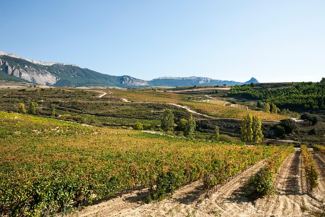 Rioja Wine Tour: 2 Wineries Visit With Tasting From San Sebastian - Inclusions and Exclusions of Tour