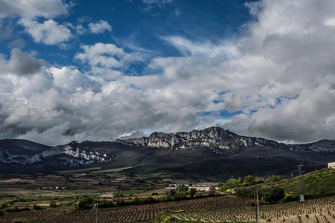 Rioja Wine Tour: Winery, Tasting & Lunch From San Sebastian - Traveler Reviews and Experiences