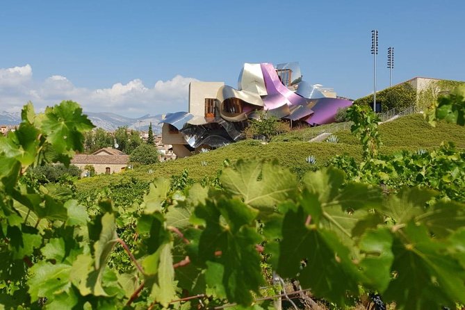 Rioja Wine Tour: Winery & Traditional Lunch From Bilbao - Inclusions