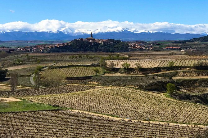 Rioja Wineries and Laguardia Tour With Picnic From San Sebastian - Winery Visits