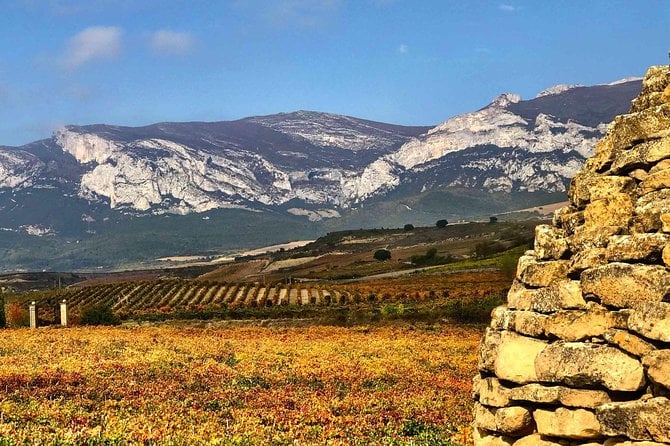 Rioja Wineries and Laguardia Tour With Picnic From San Sebastian - Exploring Laguardia Village