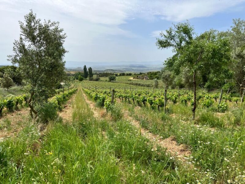 Rioja Wineries VIP Tour - Additional Details