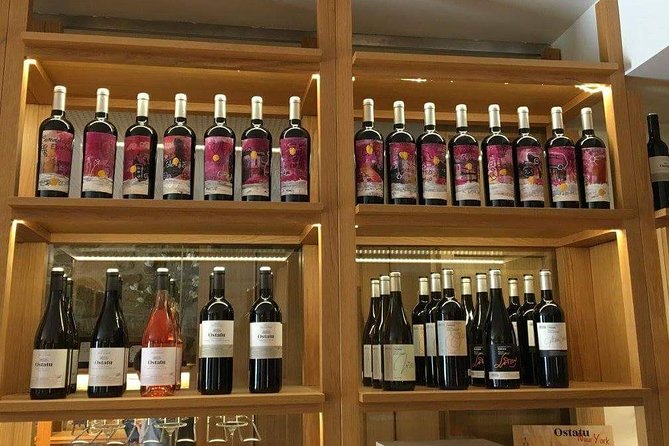 Rioja Winery Hopping Tour From San Sebastian - Tour Overview