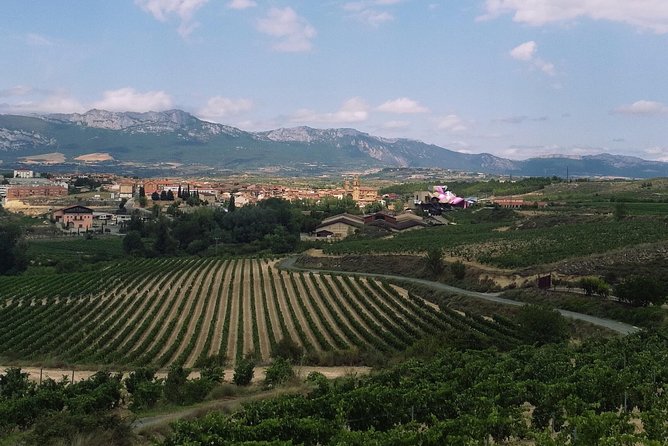 Rioja Winery Hopping Tour From San Sebastian - Customer Reviews