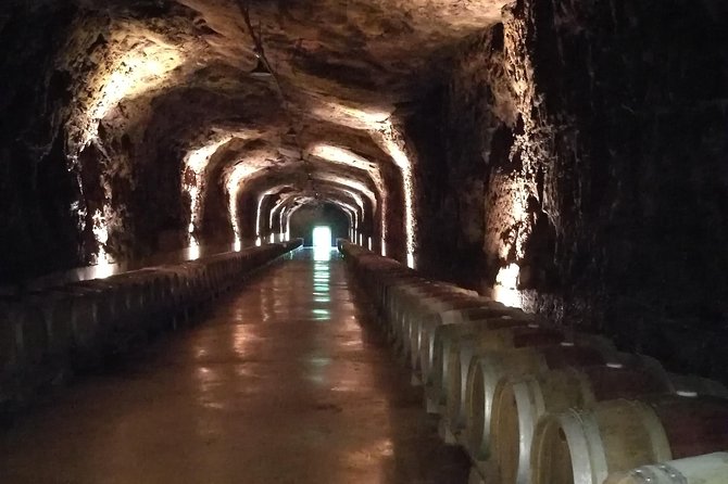 Rioja Winery Hopping Tour From San Sebastian - Cultural Insights