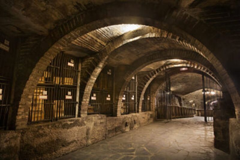 Rioja Winery & Traditional Lunch From Pamplona or Logroño - Key Points