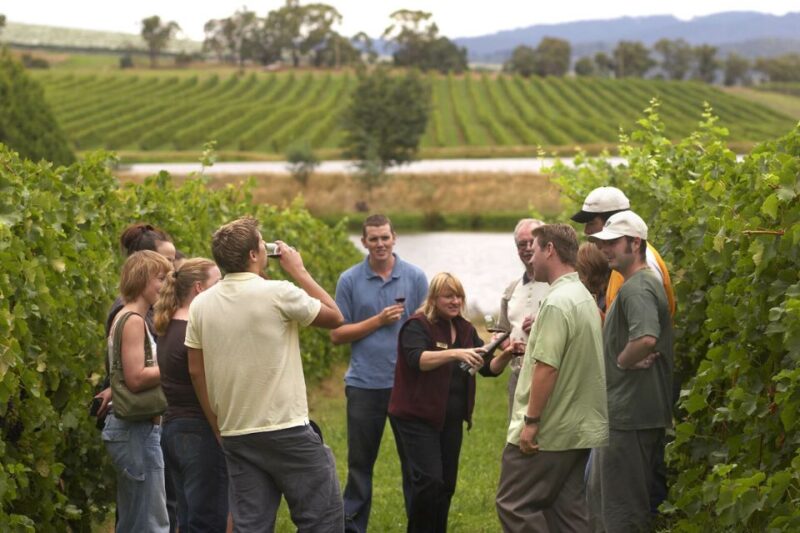 Rioja Winery & Traditional Lunch From Pamplona or Logroño - Inclusions