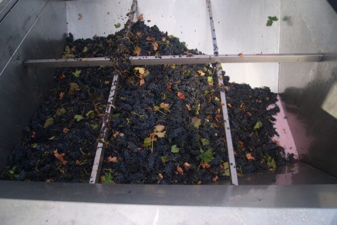 Rioja Winery & Traditional Lunch From Pamplona or Logroño - Solo Travelers