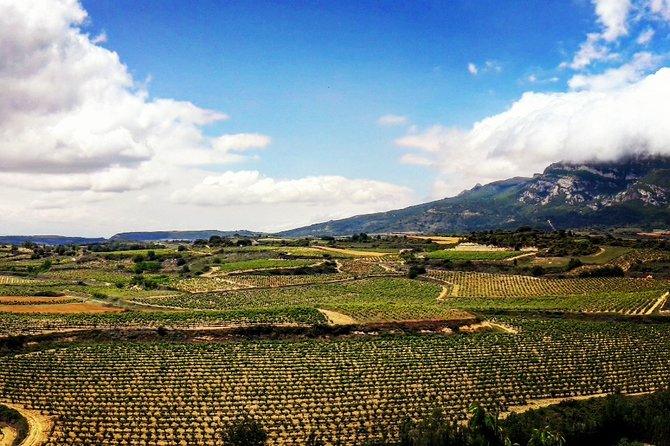 Riojas Top Wines Tasting Private Tour - Inclusions