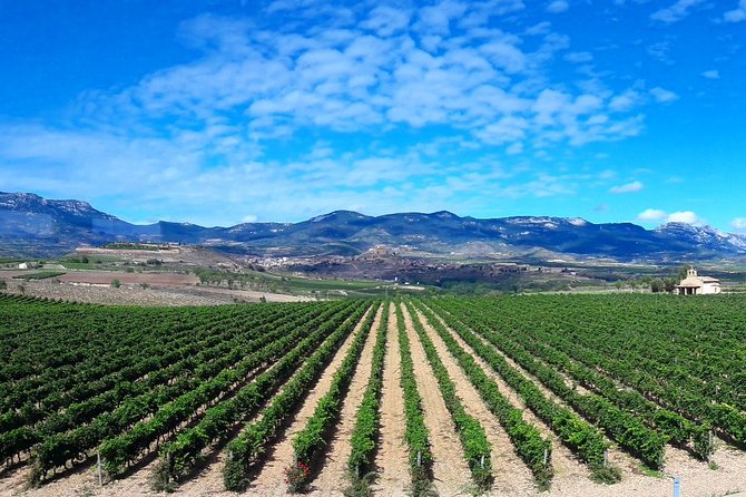 Riojas Top Wines Tasting Private Tour - Discovering Local Cuisine
