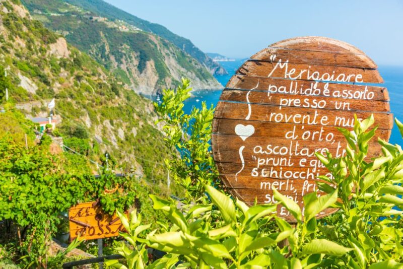Riomaggiore: Vineyard & Wine Cellar Tour With Wine Tasting - Key Points