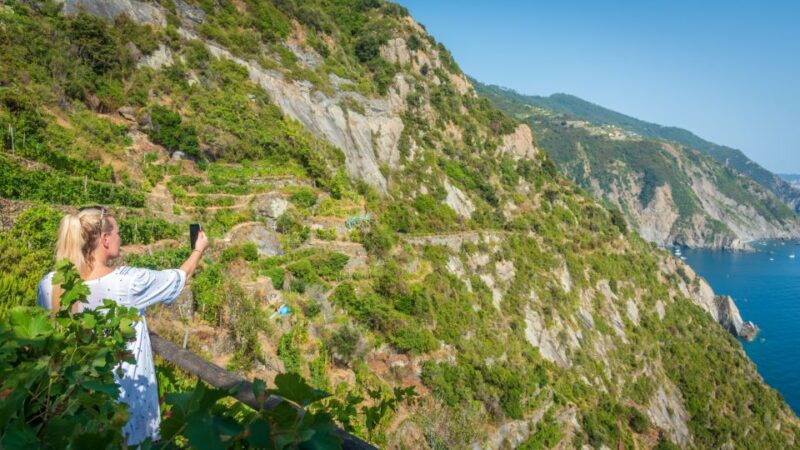 Riomaggiore: Vineyard & Wine Cellar Tour With Wine Tasting - Key Highlights