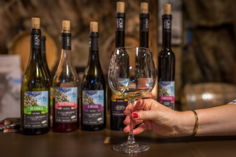 Riomaggiore: Vineyard & Wine Cellar Tour With Wine Tasting - Guided Experience