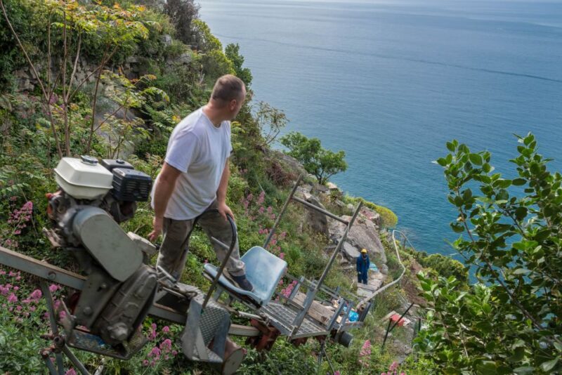 Riomaggiore: Vineyard & Wine Cellar Tour With Wine Tasting - What to Bring
