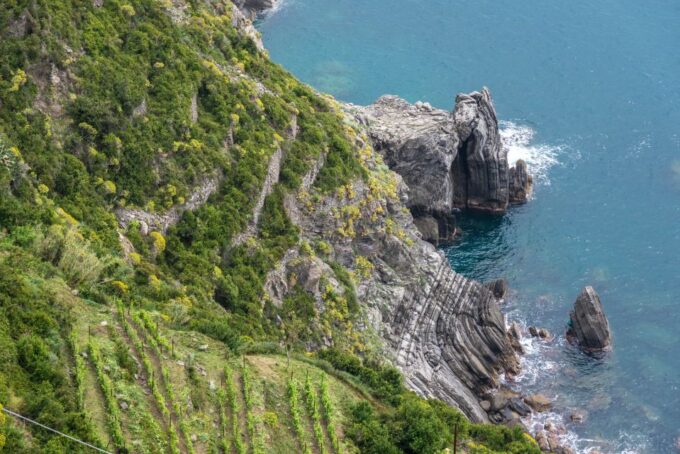 Riomaggiore: Vineyard & Wine Cellar Tour With Wine Tasting - Booking & Cancellation