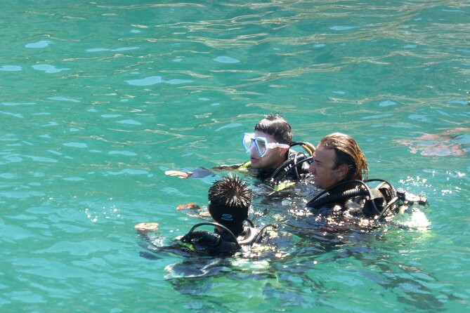 Rios Best Dive Experience All Inclusive Scuba Diving Package! - Beginner to Certified Divers Welcome