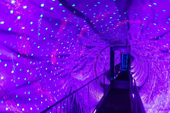 Ripleys Believe It or Not! Amsterdam Admission Ticket - Ticket Pricing