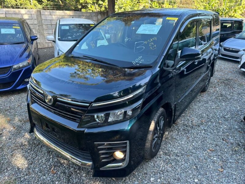 Riu Palace Tropical Bay Private Airport Transfer - Booking Information