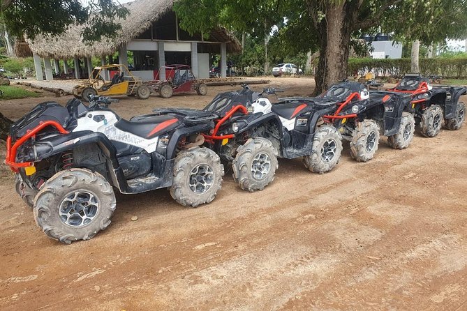 River Cave and Macao Beach Half-Day Quad Bike Adventure - Pricing and Reviews