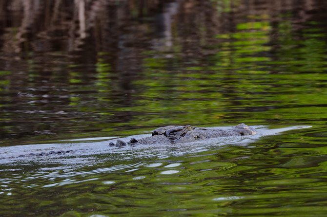River Cruise - Inclusions and Highlights