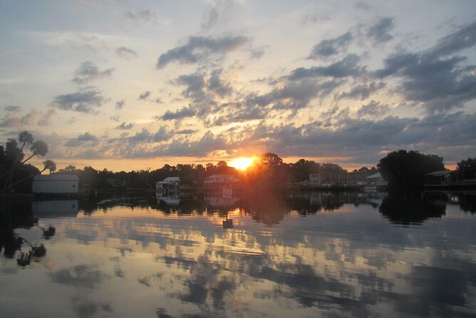 River Cruise Tour With Manatee Viewing - Location and Operator