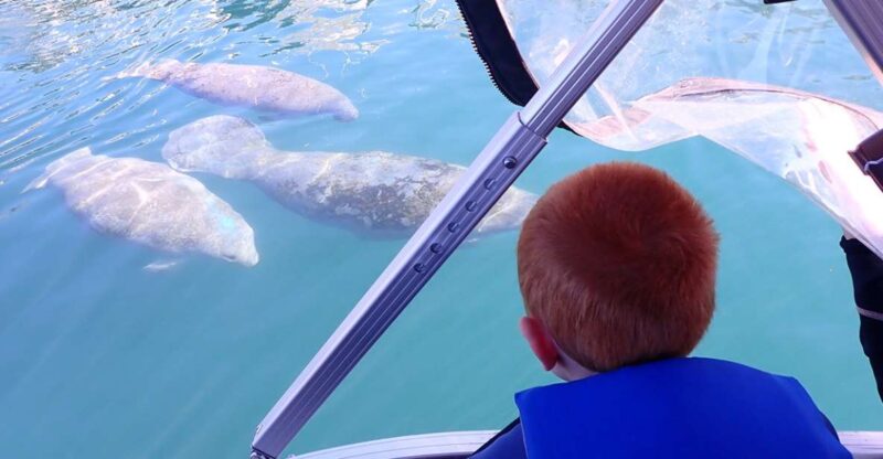River Cruise With Manatee Viewing - Experience Highlights