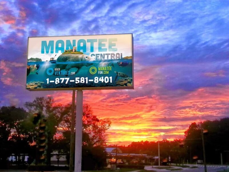 River Cruise With Manatee Viewing - Tour Logistics