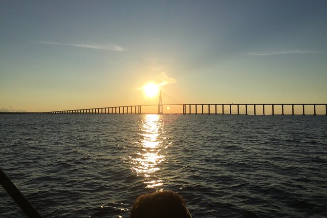 River Day Tour From Manaus - Inclusions and Logistics