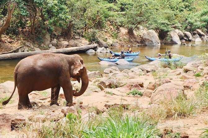 River Float Adventure - Key Points