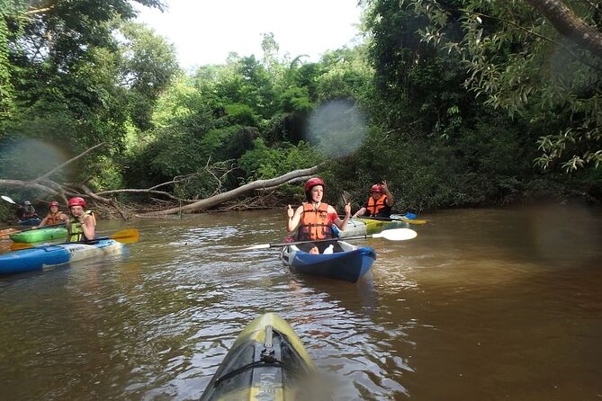 River Kayaking in Chiang Dao Jungle From Chiang Mai - Scenic Views and Wildlife