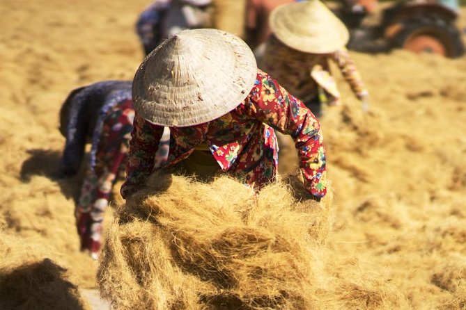 River Life In Mekong Delta Tour 3 Days - Pricing and Reviews