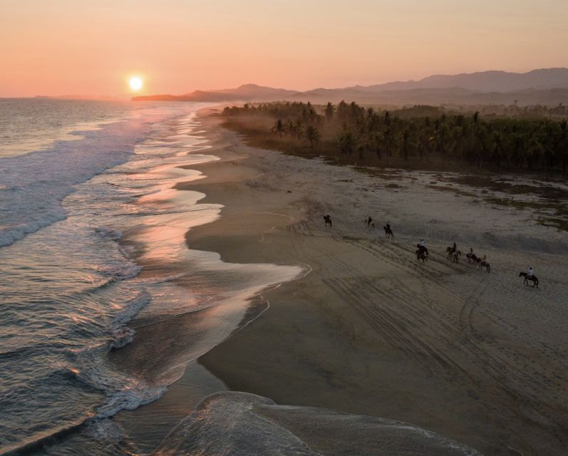 River, Ocean & Sunset Horse Riding Tour - Key Points