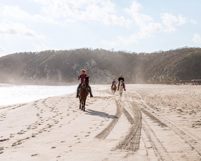 River, Ocean & Sunset Horse Riding Tour - Booking Information