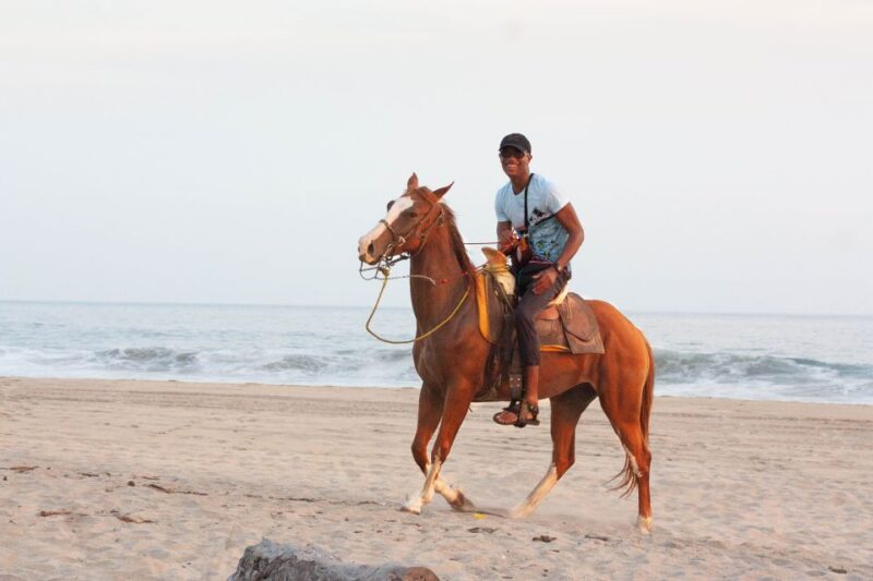 River, Ocean & Sunset Horse Riding Tour - Itinerary