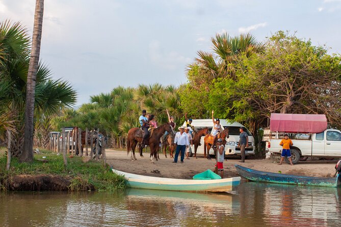 River Trail Horseback Riding Adventure - Guest Reviews and Feedback