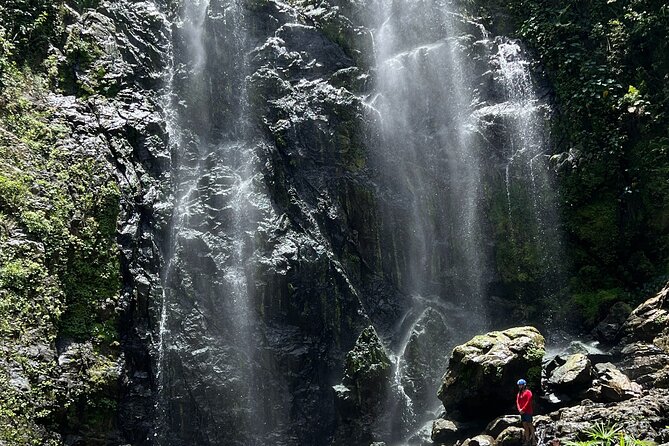 River Trek to 130-Foot Waterfall in Bayamon - Highlights of the Trek