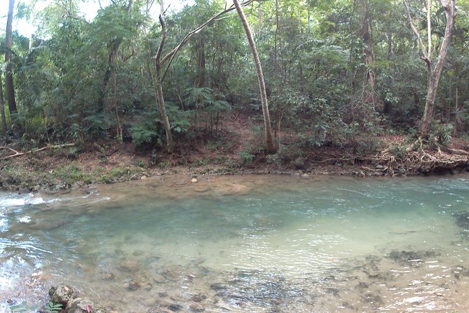River Tubing Down Famous River - Highlights of the River Journey