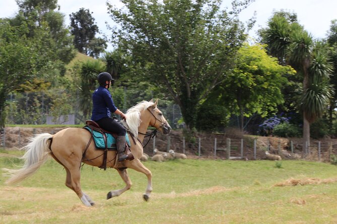 River Valley Stables - Burn The Breeze, Half Day Horse Ride For Riders - Natural Horsemanship and Horse-Rider Trust