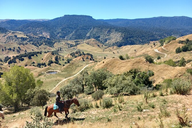River Valley Stables - Burn The Breeze, Half Day Horse Ride For Riders - Small Group Trek and Accessibility