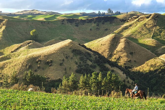 River Valley Stables - Burn The Breeze, Half Day Horse Ride For Riders - What to Bring and Additional Info