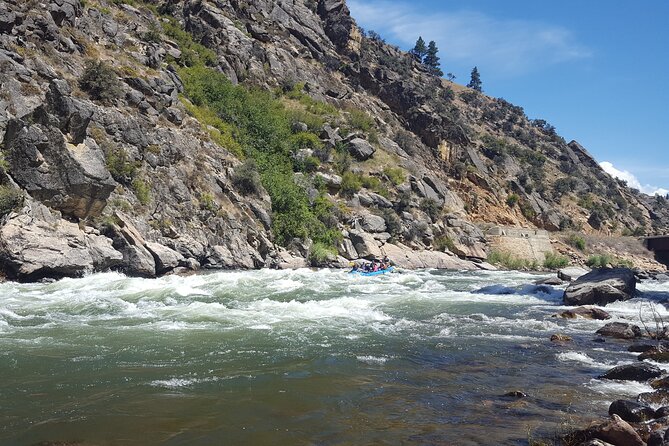 River Whitewater Rafting Day Trip in Salmon - Whitewater Rafting Experience