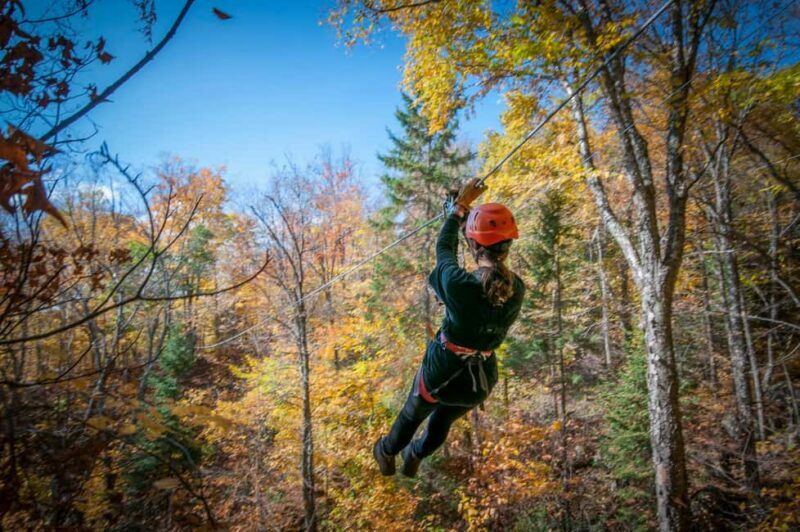 River Ziplines - Nature Tours - The Experience in Detail