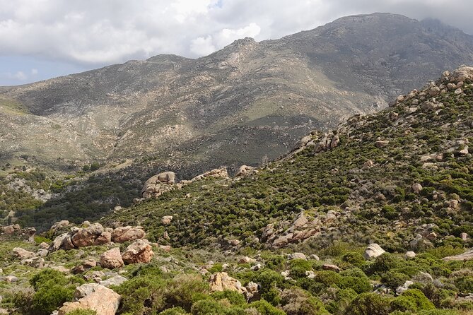 Riverbank Adventure in Naxos (Kinidaros - Eggares) - Outdoor Adventure Experiences