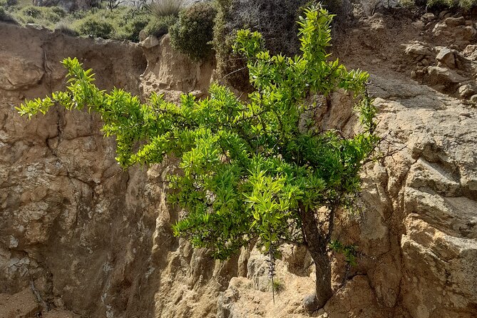 Riverbank Adventure in Naxos (Kinidaros - Eggares) - Customer Service Support