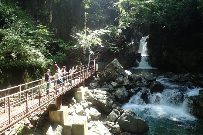 Rivers Run Through Hida and Osakacho E-Bike Tour - Immersive Countryside Experience