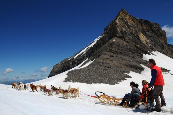 Riviera Col Du Pillon & Glacier 3000 From Montreux - Accessibility and Logistics