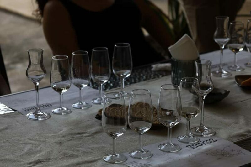 Riviera Maya: 2 hr Tequila Tasting with an Expert - Who Will Love This Tour?